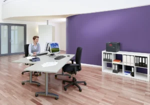 ineo 4201i (foto: 10)