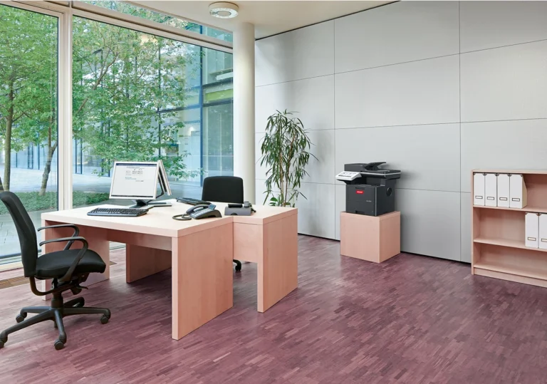 ineo 5021i (foto: 12)